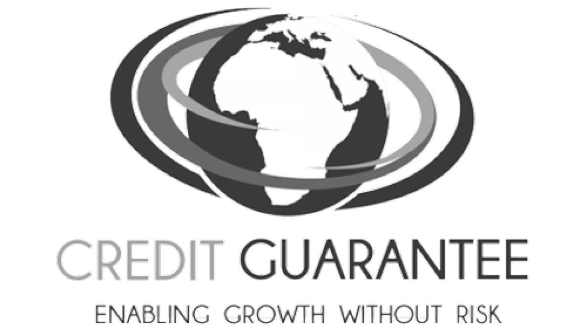 Credit Guarantee